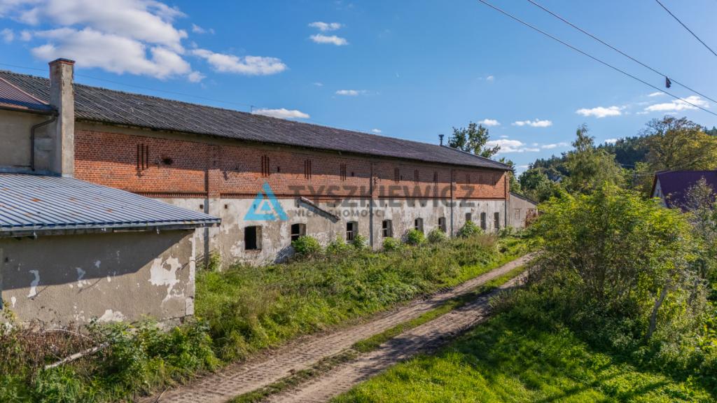 Duża Stajnia - budynek gospodarczy Żelazo - zdjęcie 14