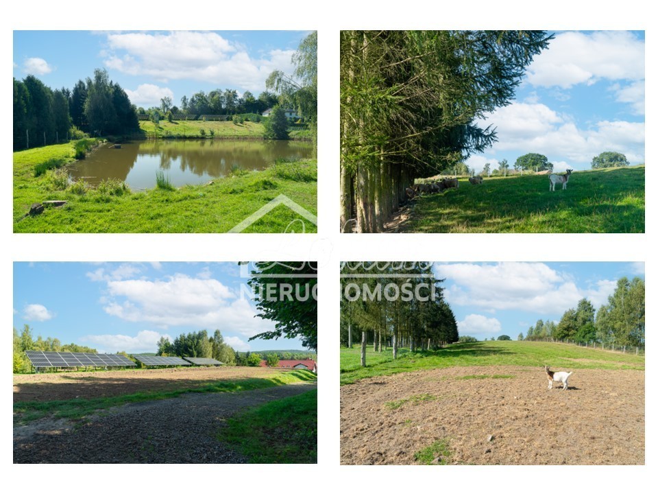 Lokal usługowy na sprzedaż, 3000&nbsp;m², Radowo Małe - zdjęcie 16