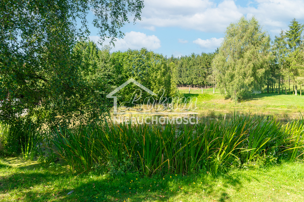 Lokal usługowy na sprzedaż, 3000&nbsp;m², Radowo Małe - zdjęcie 15