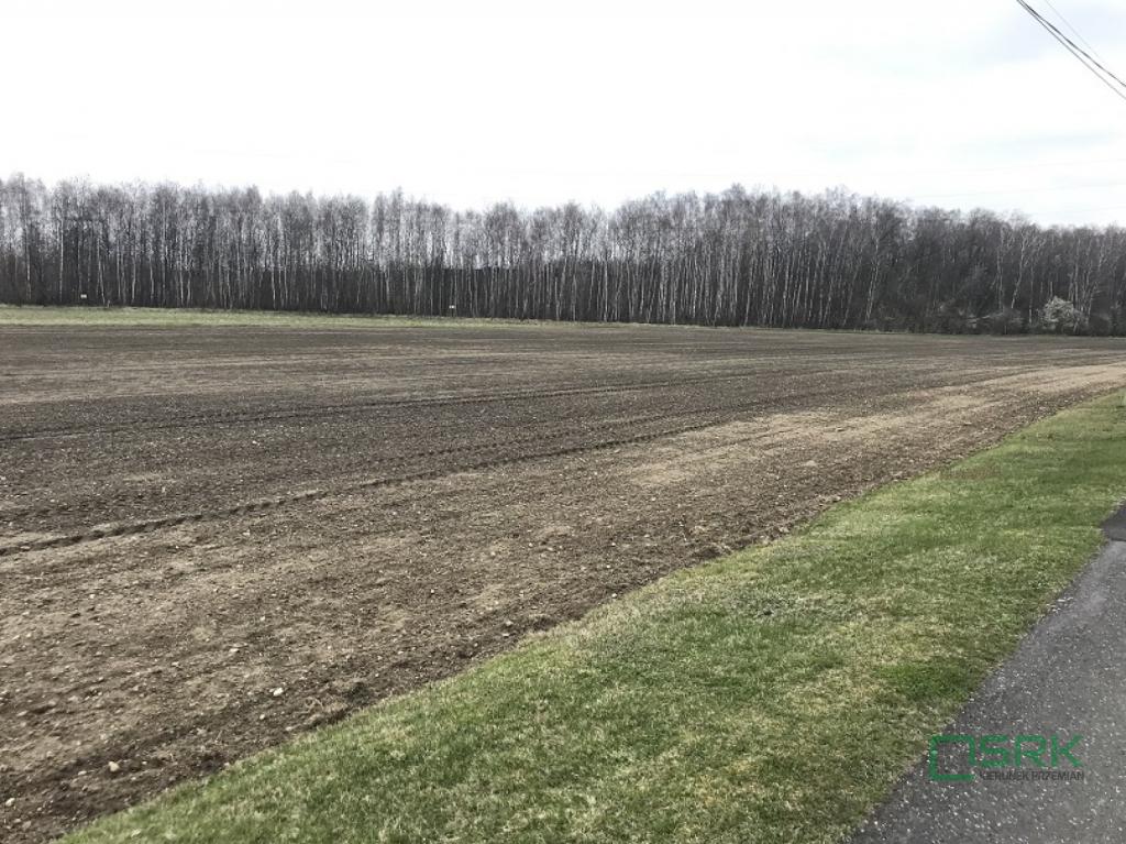Działka inwestycyjna 1,43 ha, Rybnik, Zwycięstwa - zdjęcie 3