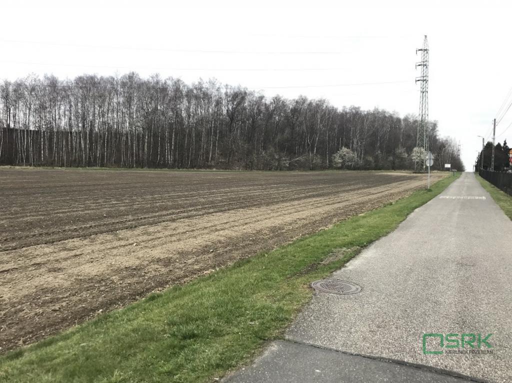 Działka inwestycyjna 1,43 ha, Rybnik, Zwycięstwa - zdjęcie 6