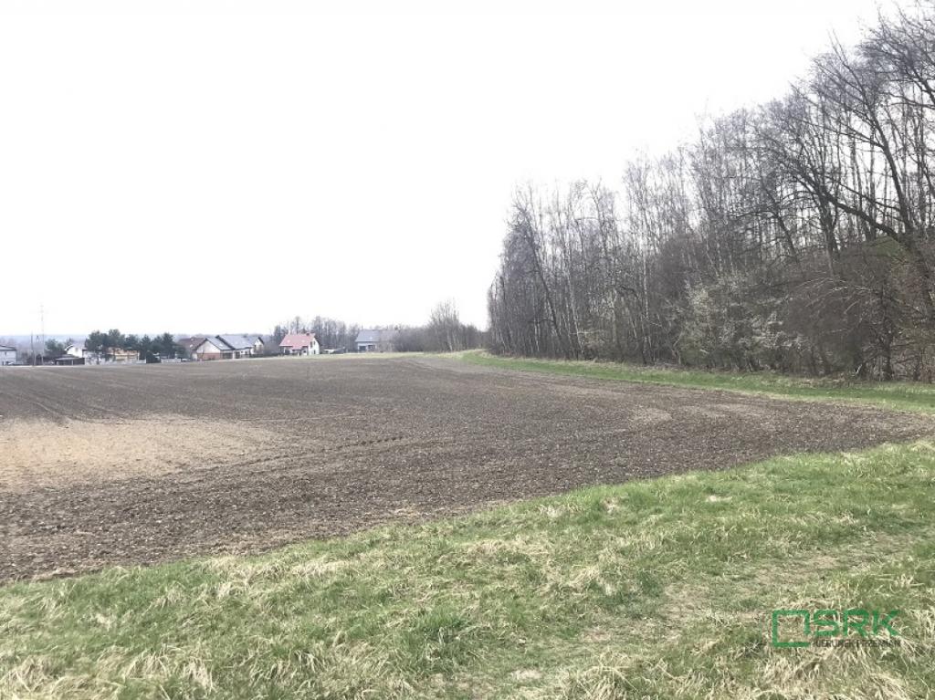 Działka inwestycyjna 1,43 ha, Rybnik, Zwycięstwa - zdjęcie 8