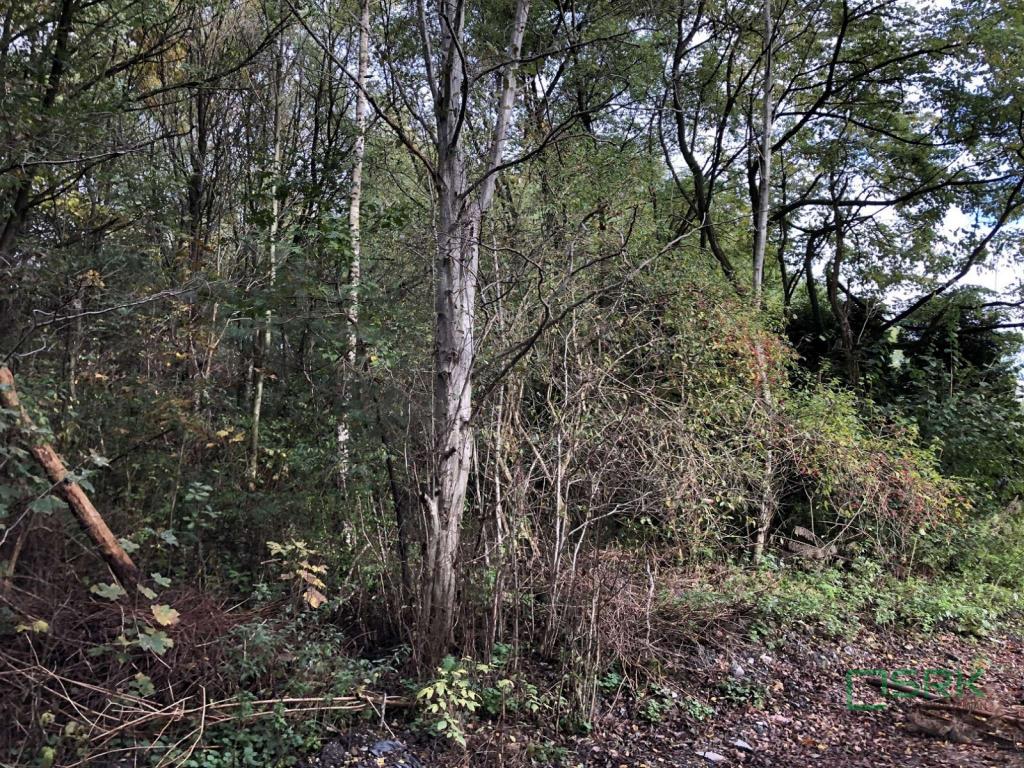 Działka inwestycyjna 3589 m², Świerklany, Świerklańska - zdjęcie 1