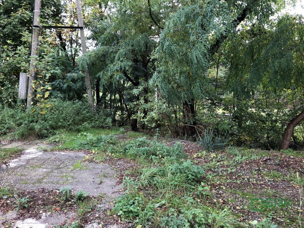 Działka inwestycyjna 2,47 ha, Świerklany, Piaskowa - zdjęcie 7
