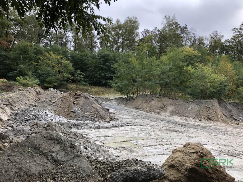 Działka inwestycyjna 2,47 ha, Świerklany, Piaskowa - zdjęcie 3