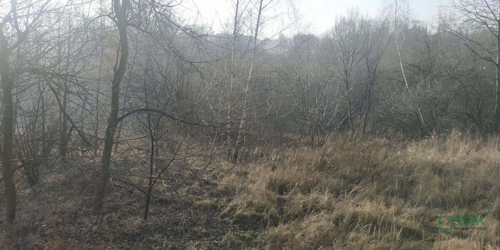 Działka inwestycyjna 4081 m², Rybnik, Bolesława Śmiałego - zdjęcie 4