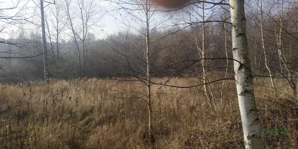 Działka inwestycyjna 4081 m², Rybnik, Bolesława Śmiałego - zdjęcie 2