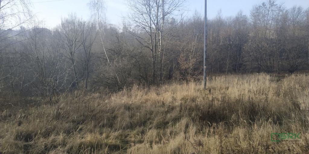 Działka inwestycyjna 4081 m², Rybnik, Bolesława Śmiałego - zdjęcie 3