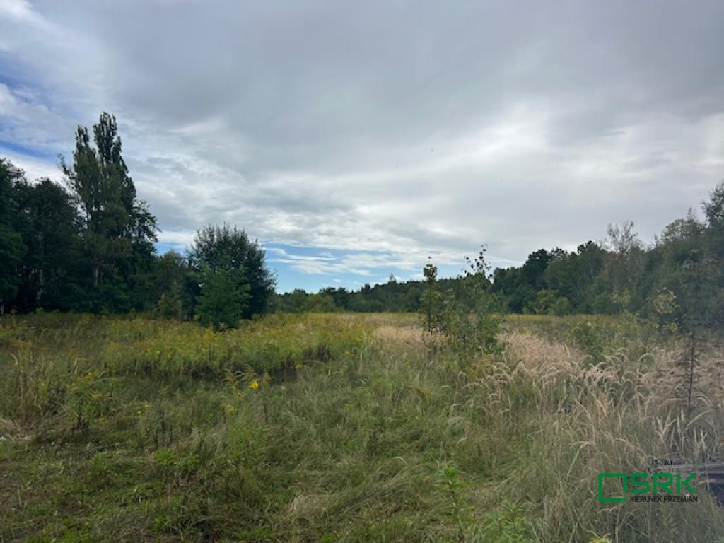 Działka inwestycyjna 5,38 ha, Mysłowice, Karola Miarki - zdjęcie 3