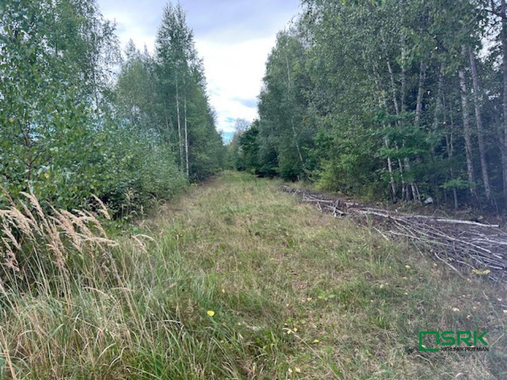 Działka inwestycyjna 5,38 ha, Mysłowice, Karola Miarki - zdjęcie 6