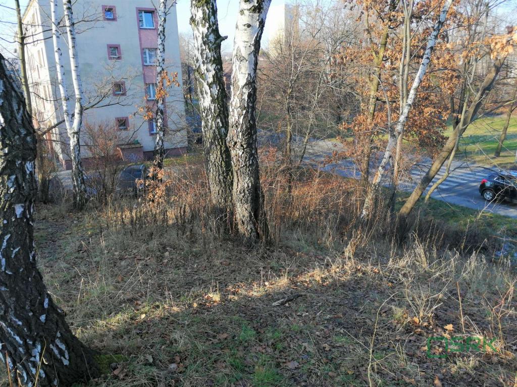 Działka inwestycyjna 4466 m², Rydułtowy, Leona - zdjęcie 3