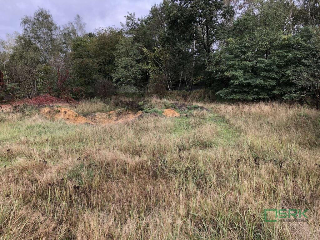 Działka inwestycyjna 5,48 ha, Rybnik, Jastrzębska - zdjęcie 7