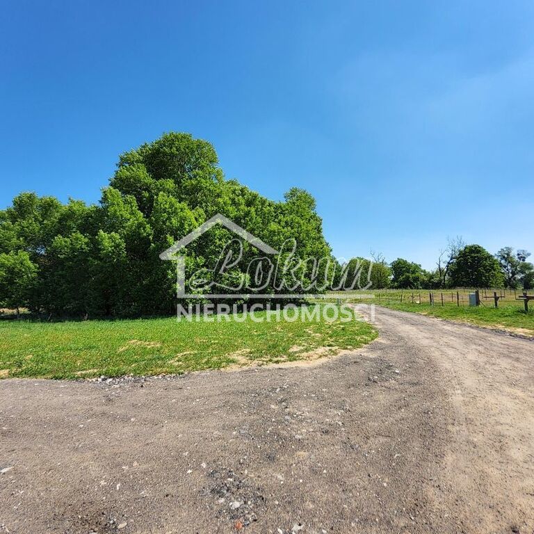 Działka budowlana 1100&nbsp;m², Buk - zdjęcie 1