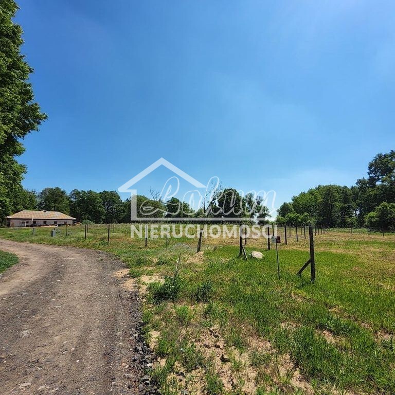 Działka budowlana 1100&nbsp;m², Buk - zdjęcie 2