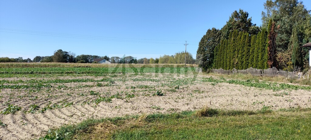 Działka rolna 1,09&nbsp;ha, Bieniewo-Parcela - zdjęcie 3