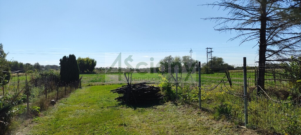 Działka rolna 1,09&nbsp;ha, Bieniewo-Parcela - zdjęcie 2