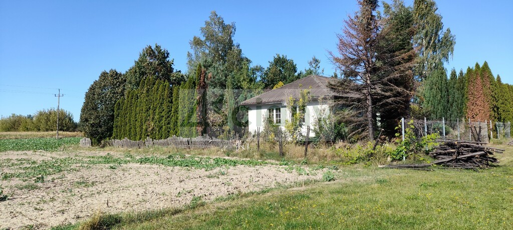 Działka rolna 1,09&nbsp;ha, Bieniewo-Parcela - zdjęcie 1