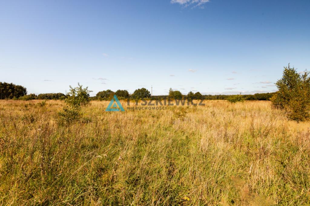 Kierzkowo działka 3000 m2 - gm. Choczewo - zdjęcie 8