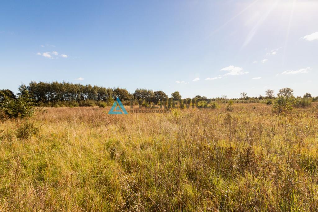 Kierzkowo działka 3000 m2 - gm. Choczewo - zdjęcie 6