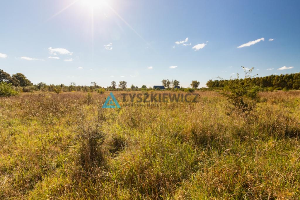 Kierzkowo działka 3000 m2 - gm. Choczewo - zdjęcie 7