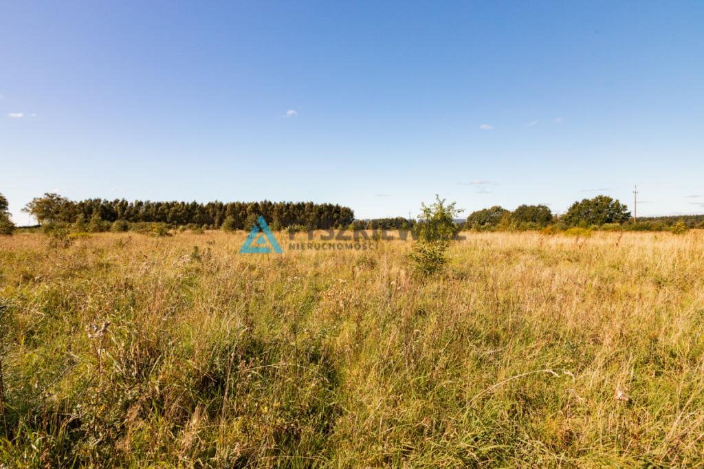 Kierzkowo działka 3000 m2 - gm. Choczewo - zdjęcie 9