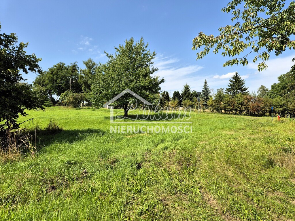 Działka budowlana 1500&nbsp;m², Gogolice - zdjęcie 7