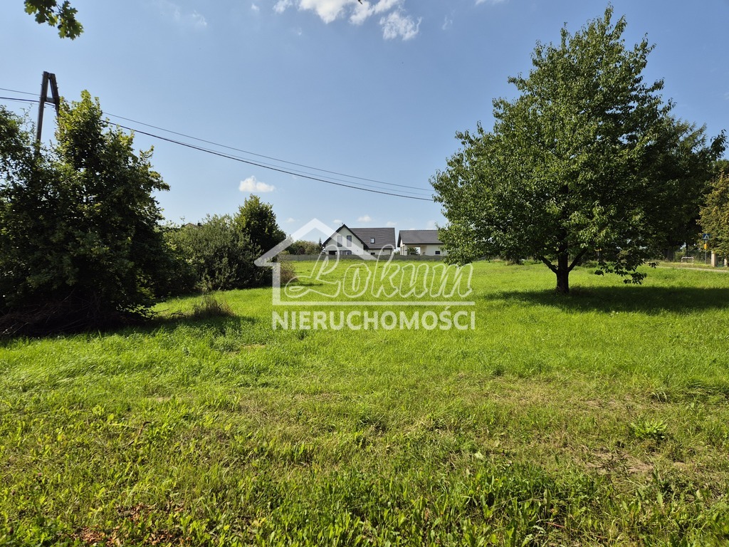 Działka budowlana 1500&nbsp;m², Gogolice - zdjęcie 6