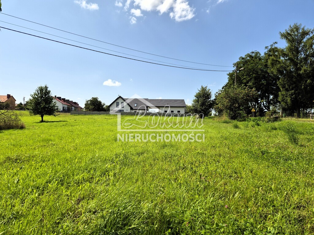 Działka budowlana 1500&nbsp;m², Gogolice - zdjęcie 5