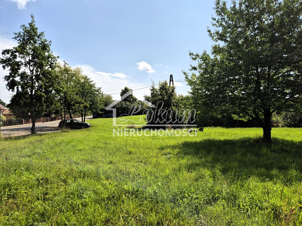 Działka budowlana 1500&nbsp;m², Gogolice - zdjęcie 8