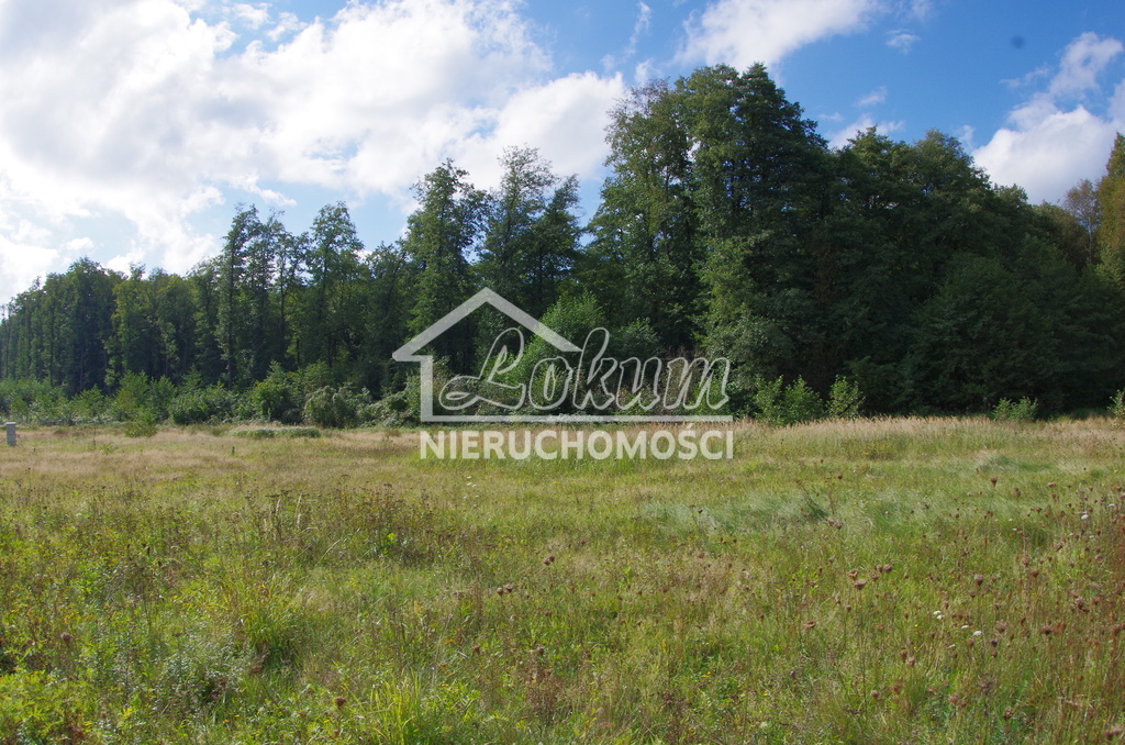 Działka budowlana 1023&nbsp;m², Jatki - zdjęcie 7