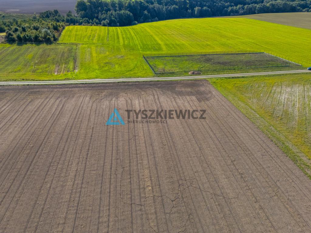 Enklawa ciszy i spokoju/Duża działka - zdjęcie 11