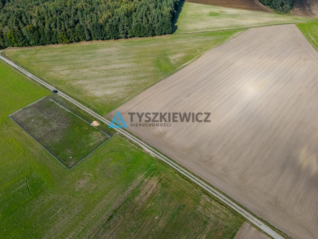 Enklawa ciszy i spokoju/Duża działka - zdjęcie 7