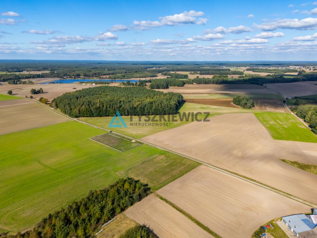 Enklawa ciszy i spokoju/Duża działka - zdjęcie 6