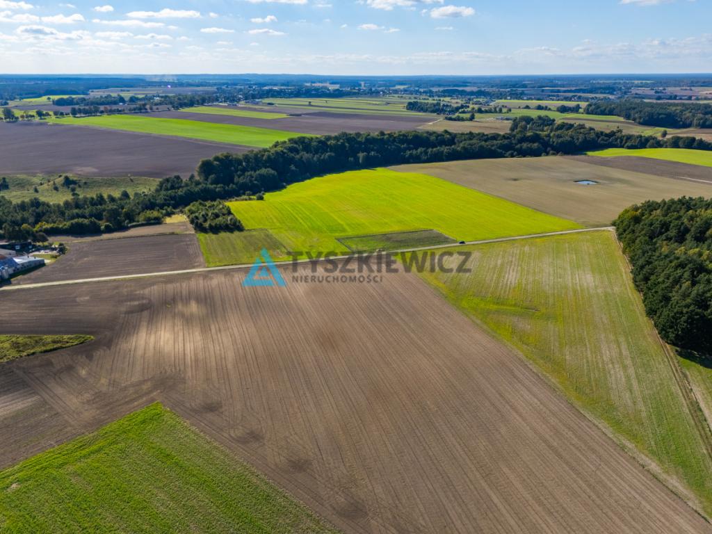 Enklawa ciszy i spokoju/Duża działka - zdjęcie 4