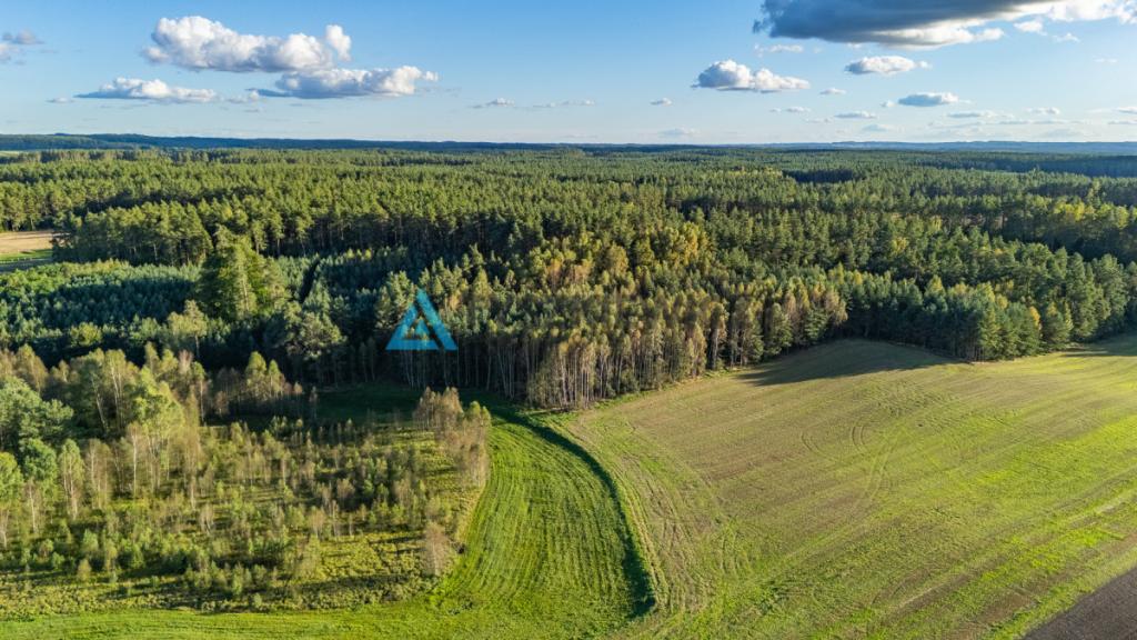 Wyjątkowa działka siedliskowa z własnym lasem - zdjęcie 9
