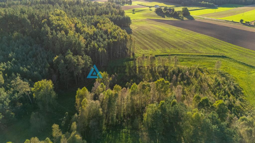 Wyjątkowa działka siedliskowa z własnym lasem - zdjęcie 12