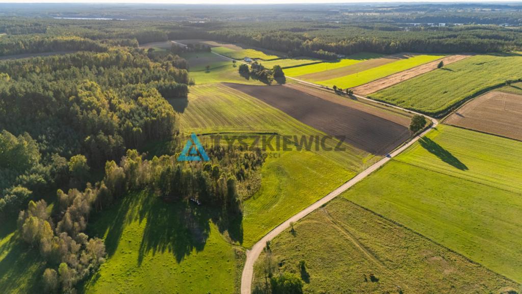 Wyjątkowa działka siedliskowa z własnym lasem - zdjęcie 22