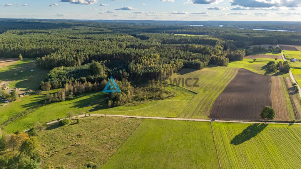 Wyjątkowa działka siedliskowa z własnym lasem - zdjęcie 24