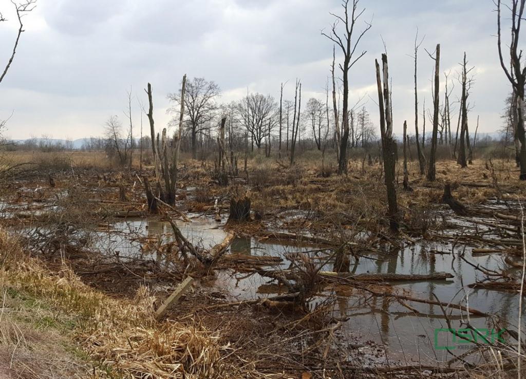 Działka inwestycyjna 7,84&nbsp;ha, Goczałkowice-Zdrój, Stawowa - zdjęcie 2