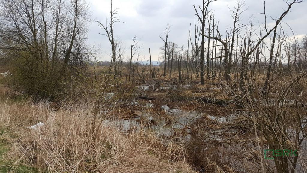 Działka inwestycyjna 7,84&nbsp;ha, Goczałkowice-Zdrój, Stawowa - zdjęcie 3