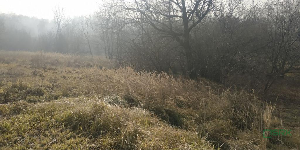 Działka inwestycyjna 6576 m², Rybnik, Bolesława Śmiałego - zdjęcie 3