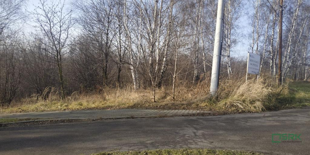 Działka inwestycyjna 6576 m², Rybnik, Bolesława Śmiałego - zdjęcie 4