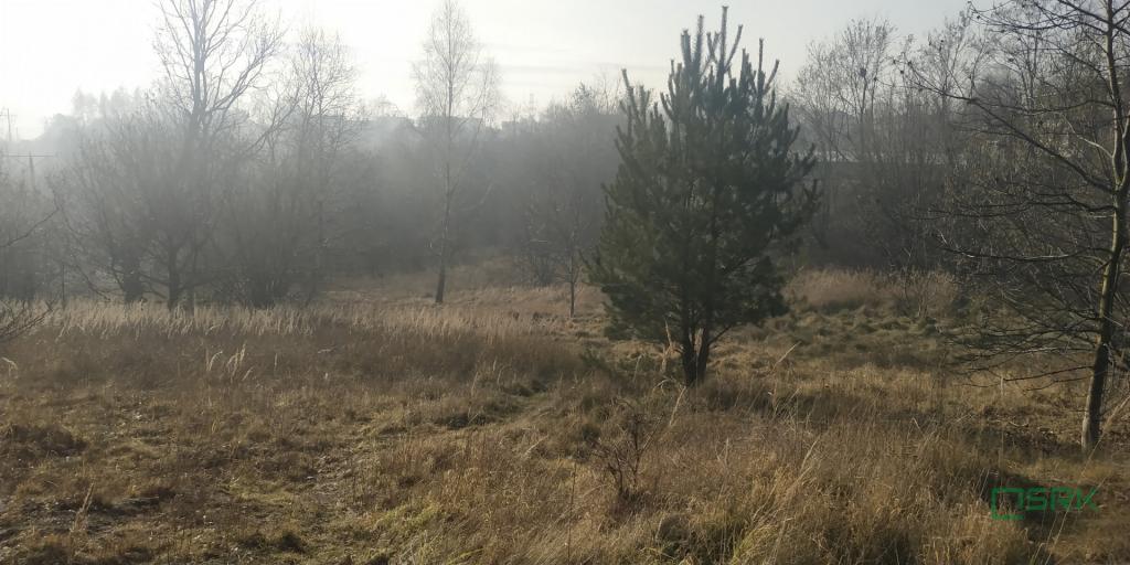 Działka inwestycyjna 6576 m², Rybnik, Bolesława Śmiałego - zdjęcie 6