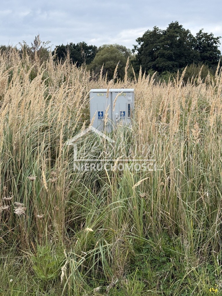 Działka budowlana 1130&nbsp;m², Szczecin - zdjęcie 12