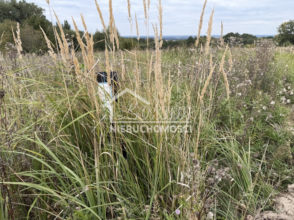 Działka budowlana 1130&nbsp;m², Szczecin - zdjęcie 13