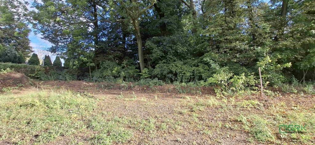 Działka inwestycyjna 4546&nbsp;m², Sosnowiec, Obwodowa - zdjęcie 7