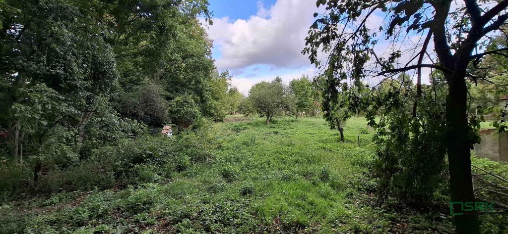 Działka inwestycyjna 4546&nbsp;m², Sosnowiec, Obwodowa - zdjęcie 4