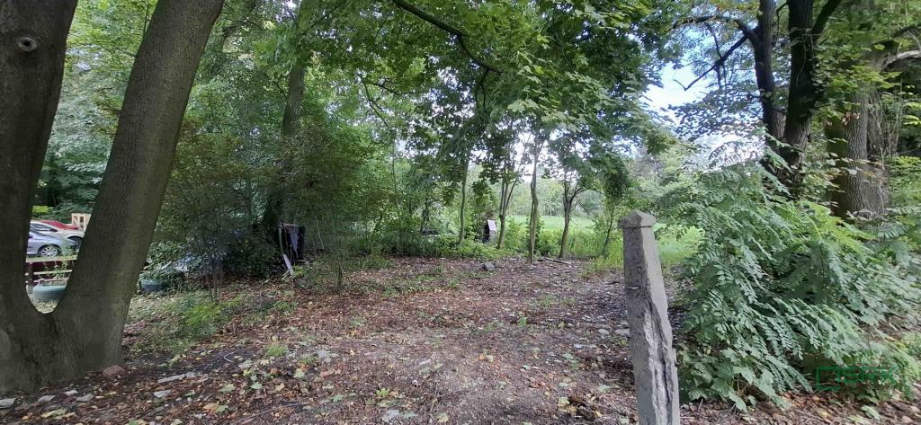 Działka inwestycyjna 4546&nbsp;m², Sosnowiec, Obwodowa - zdjęcie 3