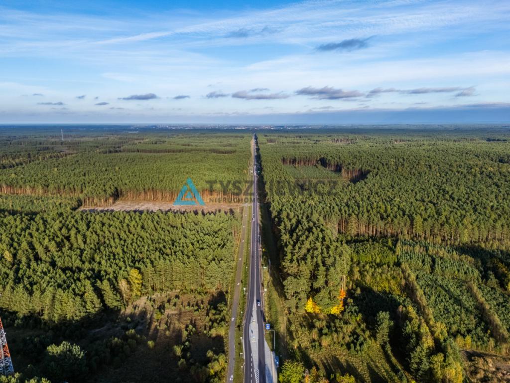 Działka budowlana- Gutowiec, ul. Borowikowa - zdjęcie 10