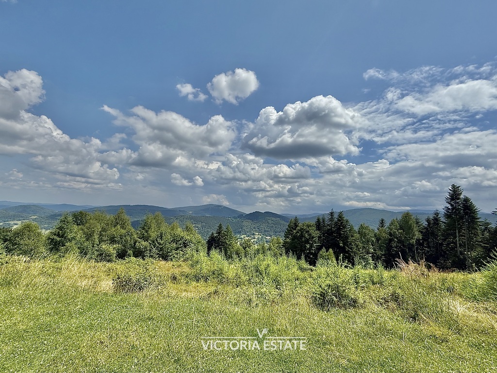 Działka budowlana 3,57&nbsp;ha, Stryszawa - zdjęcie 3